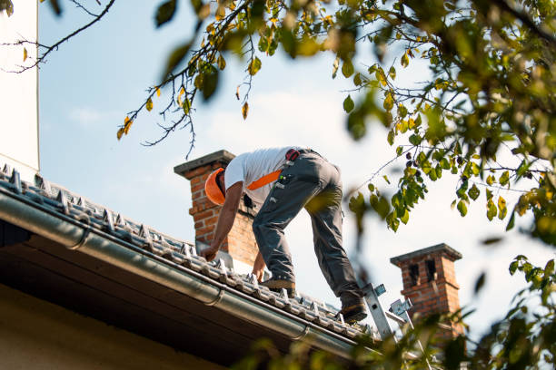 Best Gutter Installation and Roofing  in Belle Plaine, KS