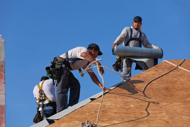 Best New Roof Installation  in Belle Plaine, KS