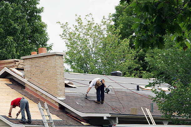 Best Roof Maintenance Services  in Belle Plaine, KS